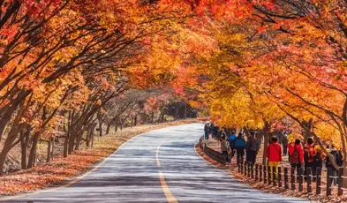 6 Most Scenic Hiking Trails in South Korea During Autumn