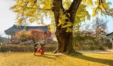 Autumn in Korea: Reasons Why Fall is the Best Season to Visit