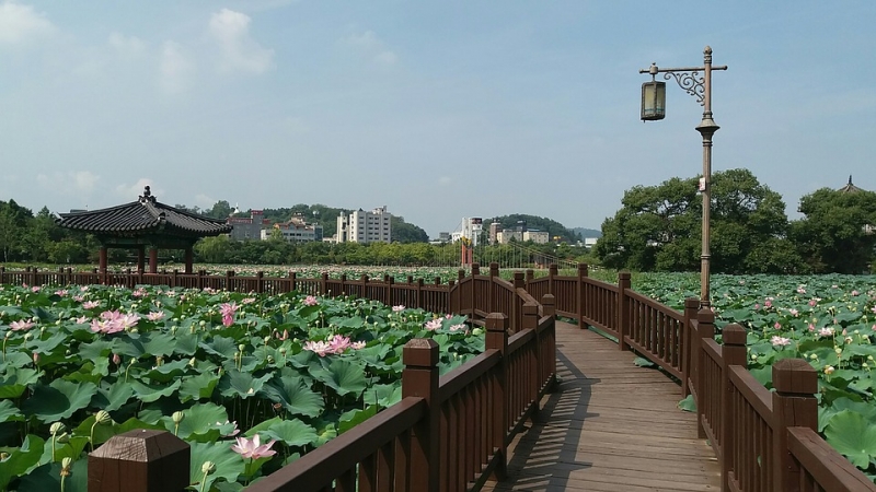 The Essential Guide to Jeonju: Top Things to Do