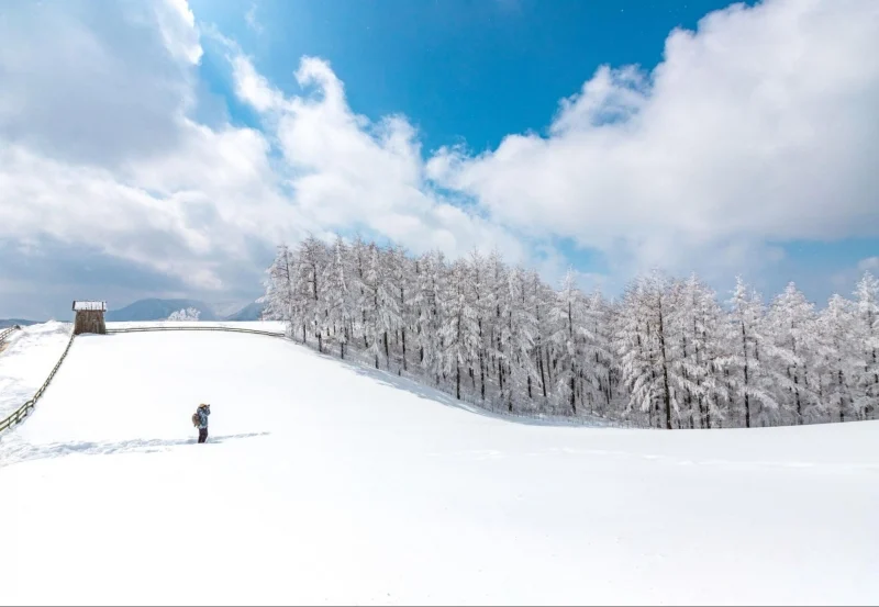 Winter in Korea: 9 Magical Experiences For a Snowy Getaway to Remember